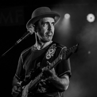 dsc_2556-a0c552679981db71bf36b11a4e528ce4